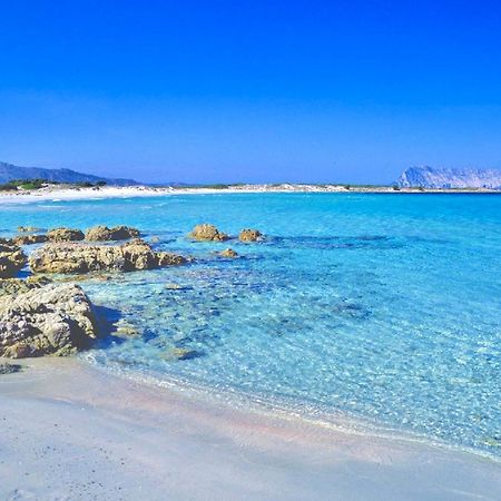 Iss Travel, Panoramic Coda Cavallo Cottages - 10 Km From San Teodoro San Teodoro  Exterior foto